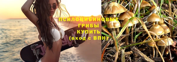 хмурый Елабуга