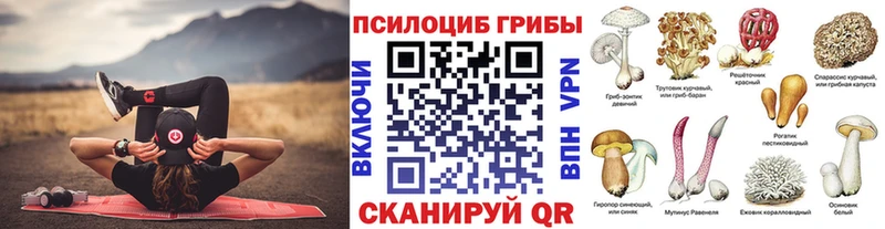 Псилоцибиновые грибы Magic Shrooms  Купить  Клинцы 